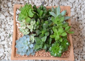 Read more about the article حملات المسابقات والهدايا: سر جذب العملاء بفعالية