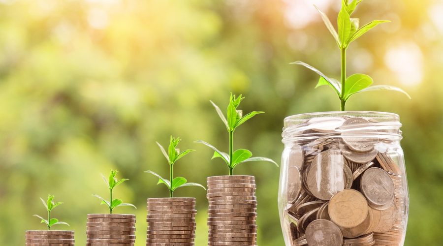 من بداية متواضعة إلى علامة عالمية: رحلة نوبونغ مع ووكومرس