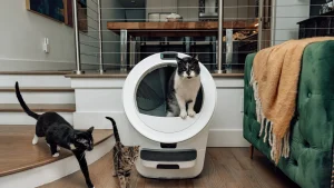 Read more about the article How Litter-Robot’s First CMO Expands Cat Ownership Through Marketing