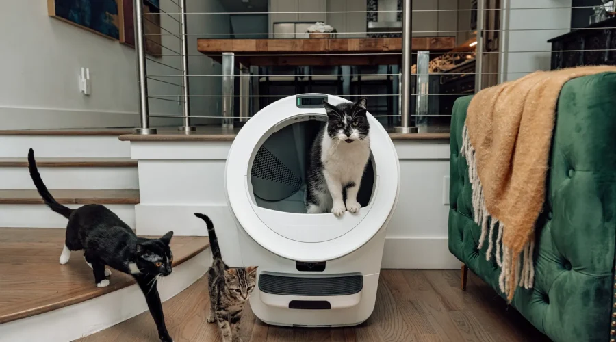 How Litter-Robot’s First CMO Expands Cat Ownership Through Marketing