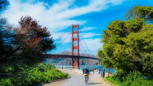 Read more about the article Human Advantage: Marketing Leadership in an AI World