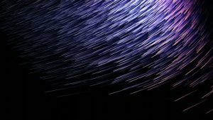 Read more about the article When Site Performance Becomes Brand Performance